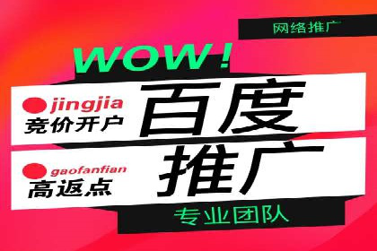 百度竞价广告的投放技巧与案例分享